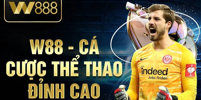 Những sảnh thể thao đang hot nhất 